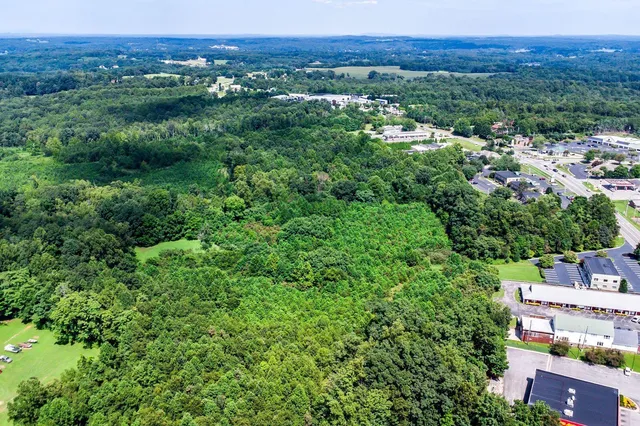 a view of a lush green field with lots of bushes