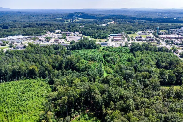 a view of a city with lush green forest