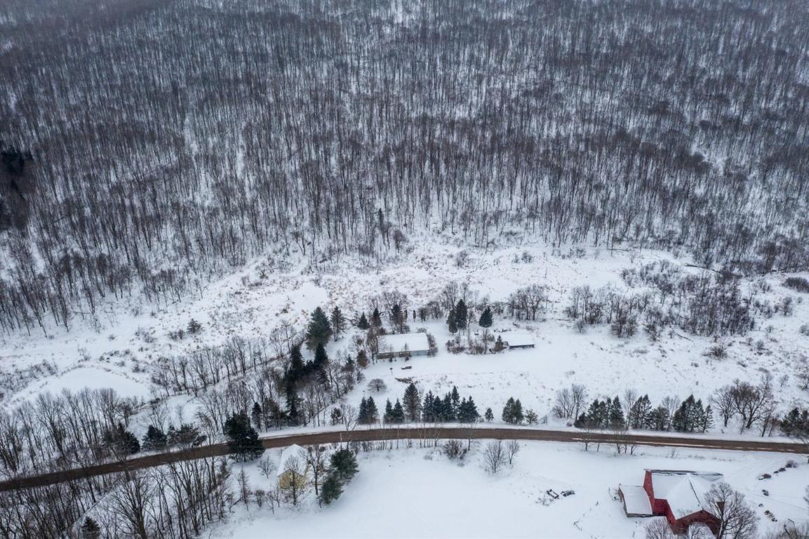 0 Roses Brook Road Hobart, NY 13788 - Photo 15 of 16