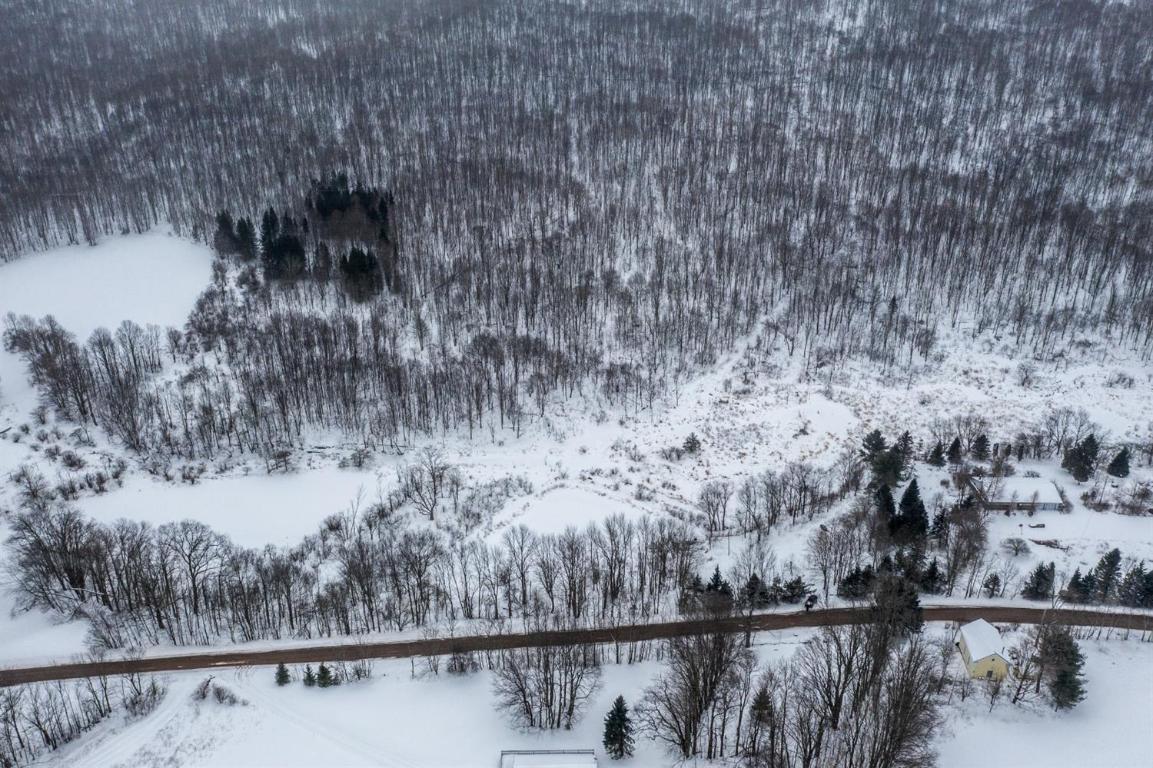 0 Roses Brook Road Hobart, NY 13788 - Photo 16 of 16