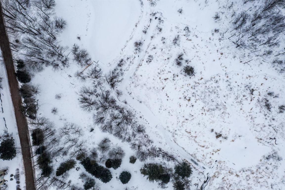 0 Roses Brook Road Hobart, NY 13788 - Photo 4 of 16