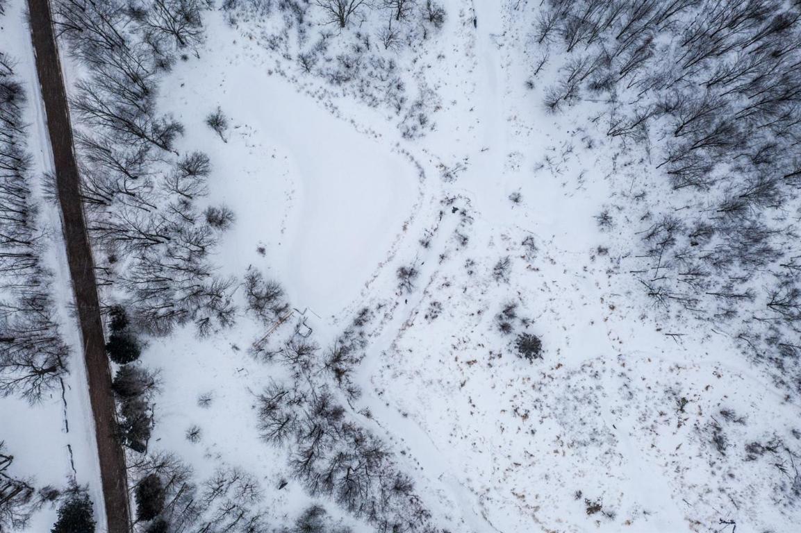 0 Roses Brook Road Hobart, NY 13788 - Photo 5 of 16