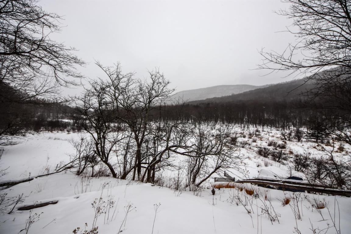 0 Roses Brook Road Hobart, NY 13788 - Photo 6 of 16