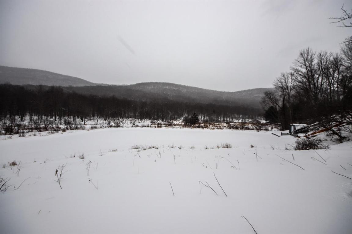 0 Roses Brook Road Hobart, NY 13788 - Photo 7 of 16