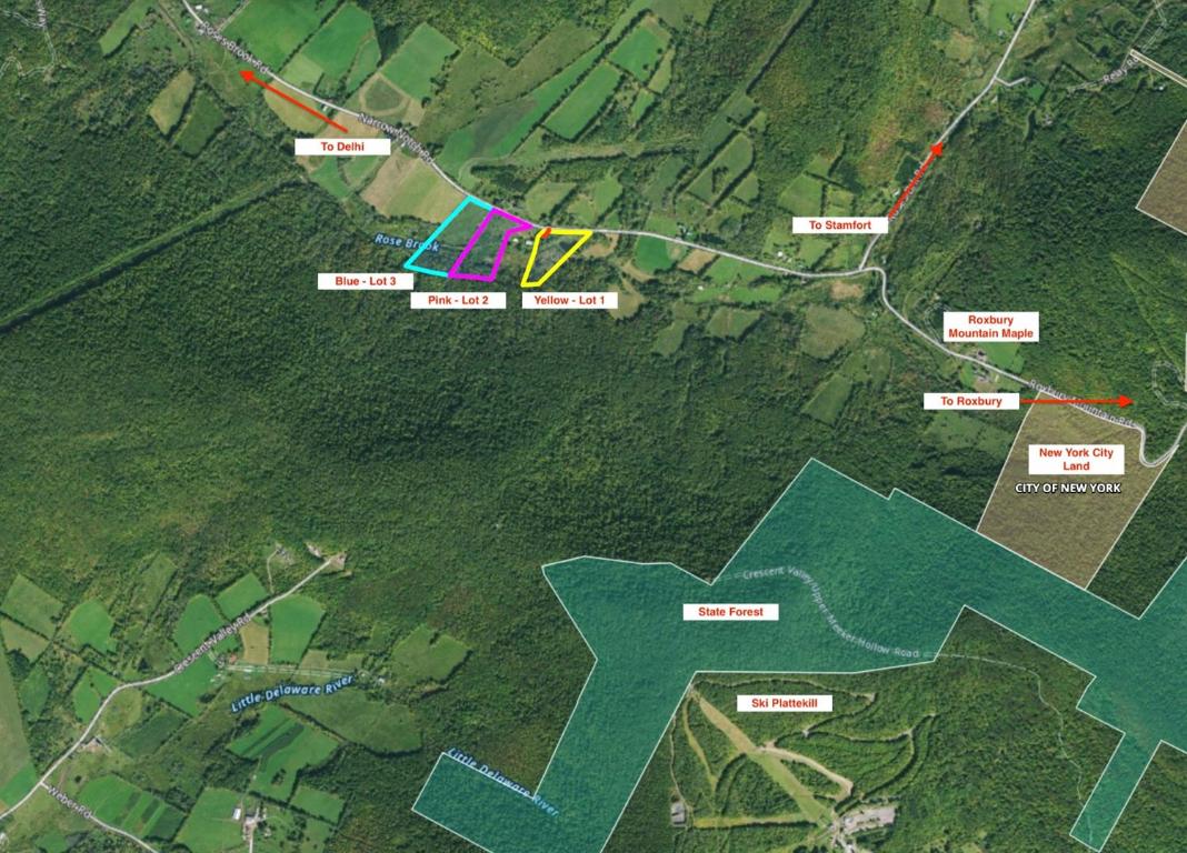 0 Roses Brook Road Hobart, NY 13788 - Photo 8 of 16