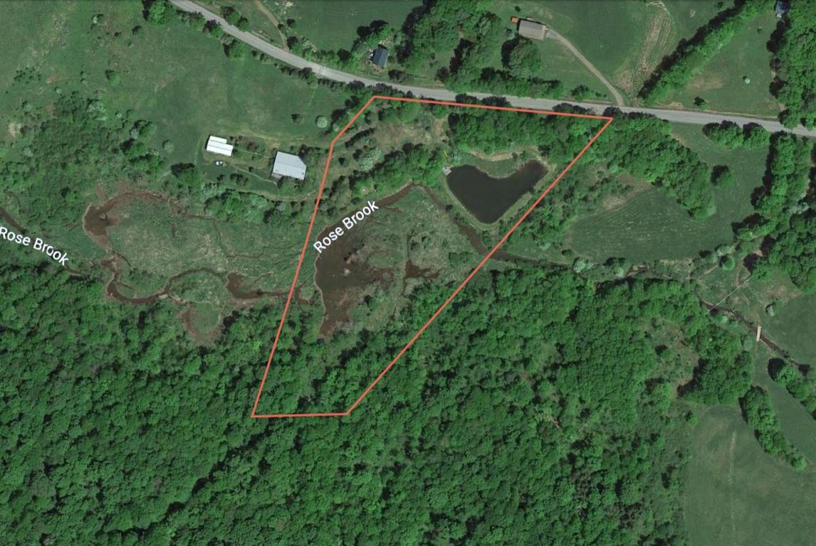 0 Roses Brook Road Hobart, NY 13788 - Photo 9 of 16