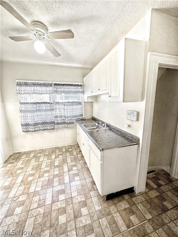 4643 Horton Road Cleveland, OH 44125 - Photo 15 of 21 Kitchen featuring white cabinetry, sink, and ceiling fan