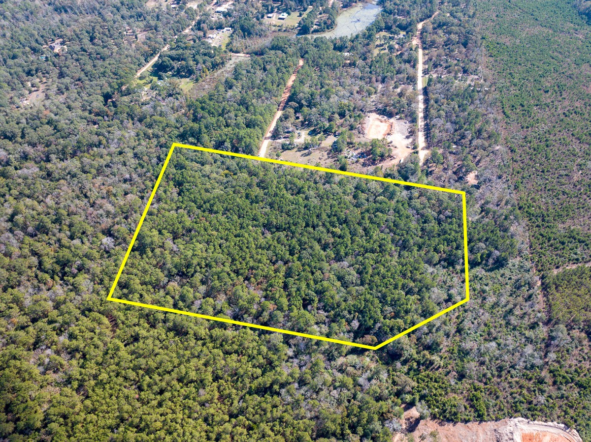 0 Mendez Road Willis, TX 77378 - Photo 2 of 19 a view of a yard