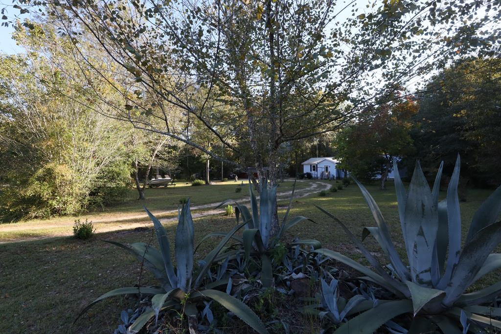 380 Timber Lane Abbeville, AL 36310 - Photo 86 of 88