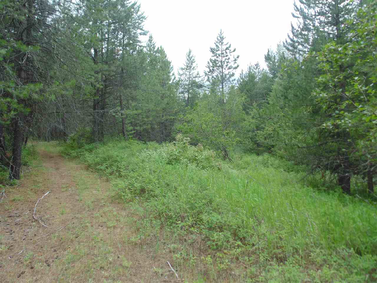 0 Darknell Road Elk, WA 99009 - Photo 2 of 19 Gallery Image 2
