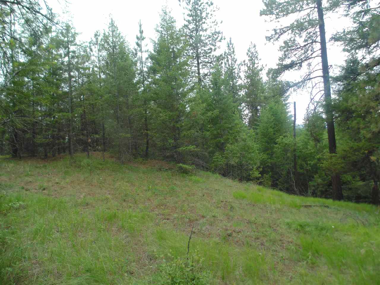 0 Darknell Road Elk, WA 99009 - Photo 11 of 19 Gallery Image 11