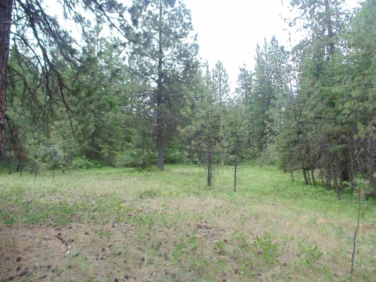 0 Darknell Road Elk, WA 99009 - Photo 12 of 19 Gallery Image 12