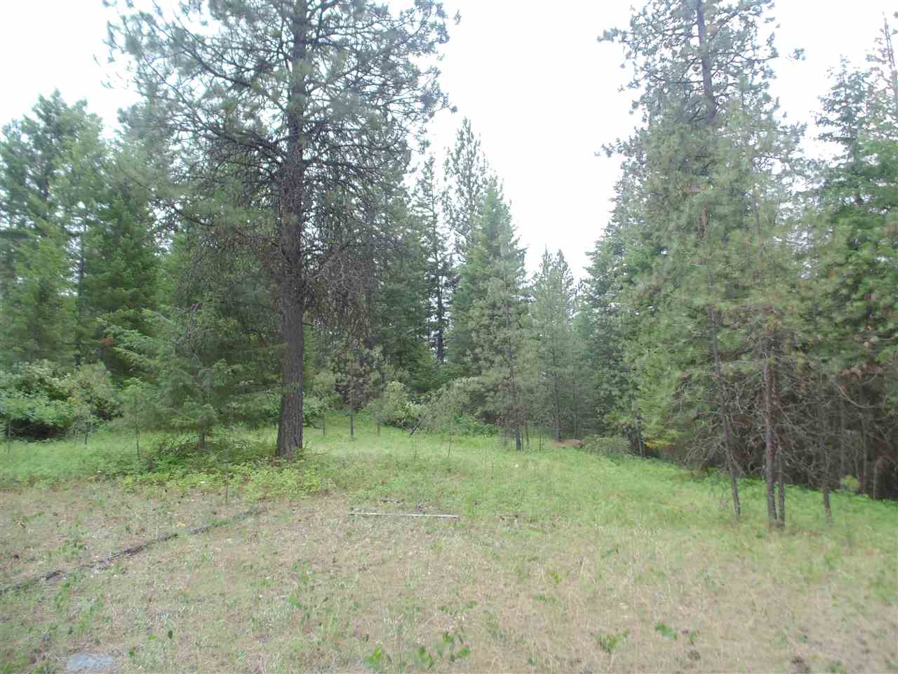 0 Darknell Road Elk, WA 99009 - Photo 13 of 19 Gallery Image 13