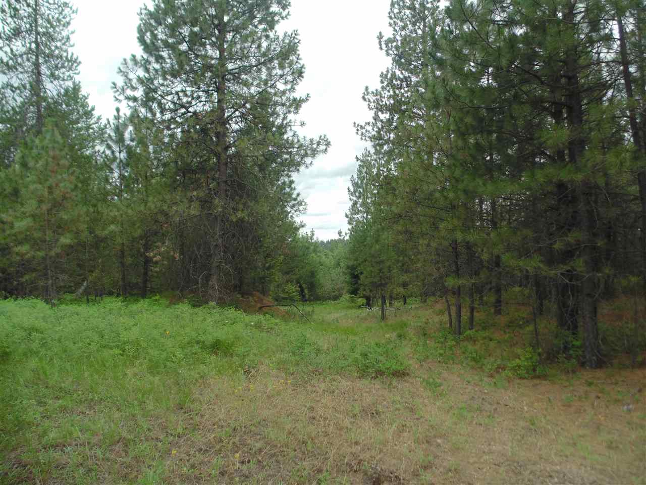0 Darknell Road Elk, WA 99009 - Photo 15 of 19 Gallery Image 15
