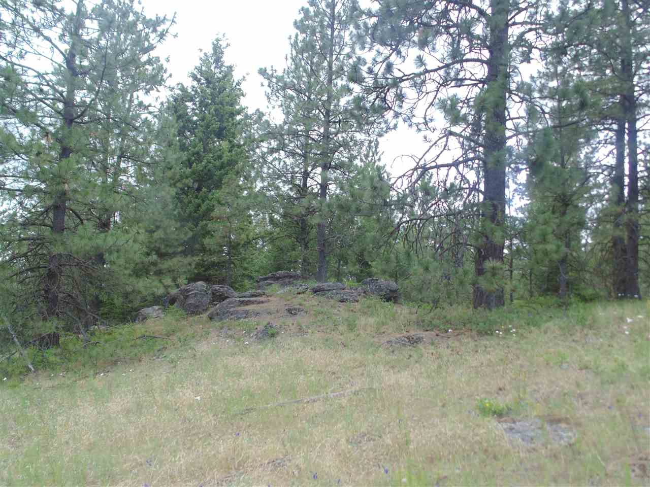 0 Darknell Road Elk, WA 99009 - Photo 16 of 19 Gallery Image 16