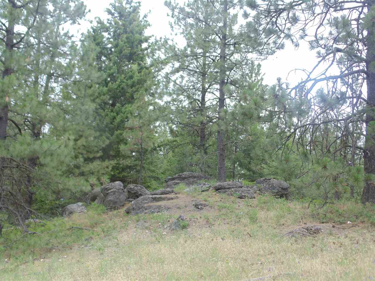 0 Darknell Road Elk, WA 99009 - Photo 17 of 19 Gallery Image 17
