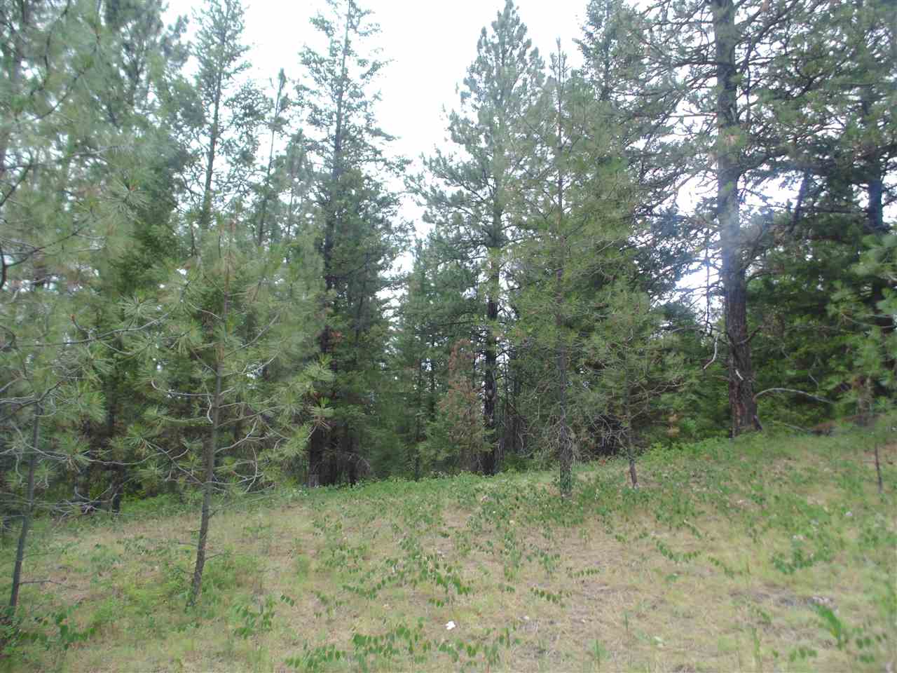0 Darknell Road Elk, WA 99009 - Photo 18 of 19 Gallery Image 18