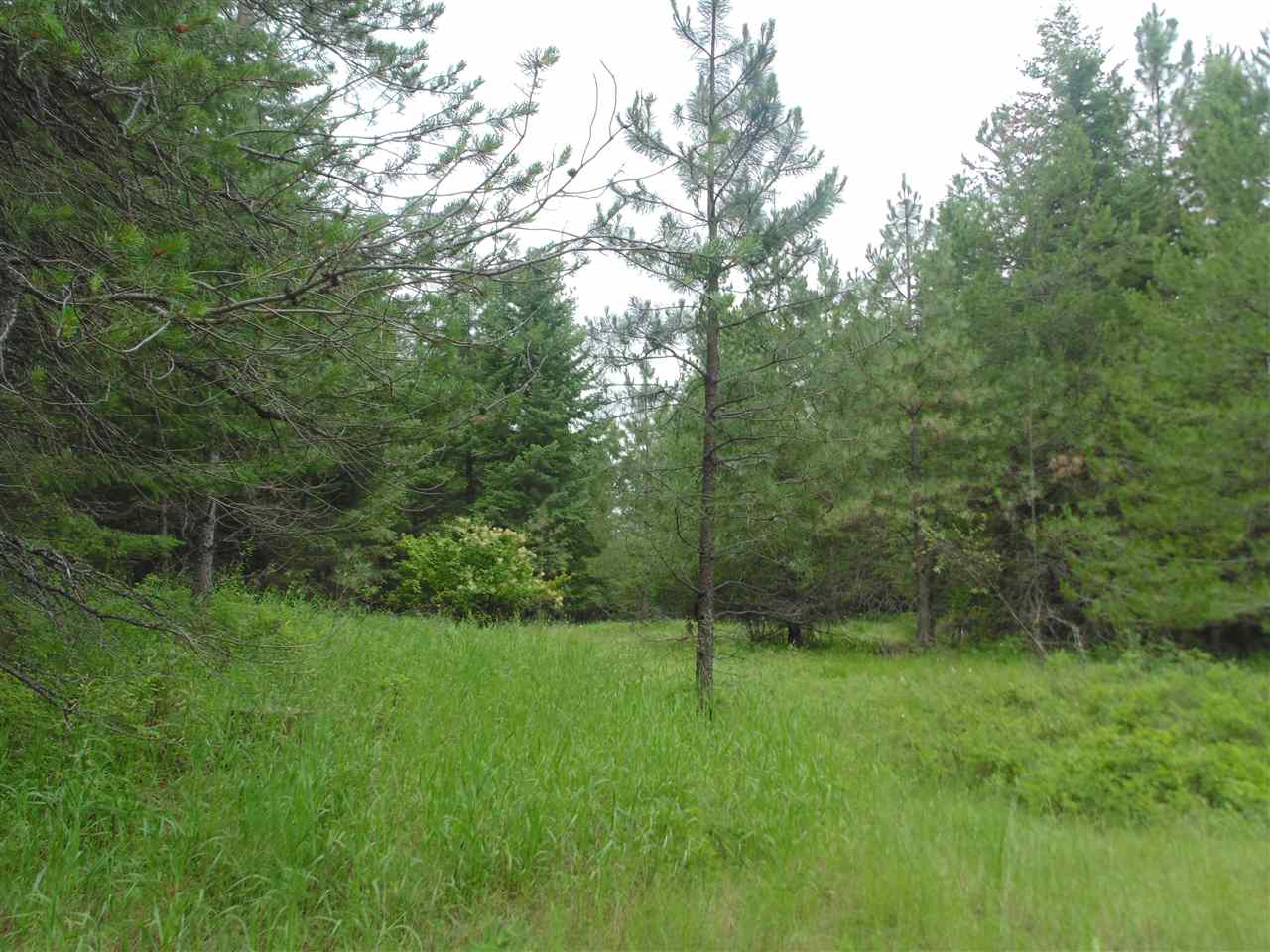0 Darknell Road Elk, WA 99009 - Photo 19 of 19 Gallery Image 19