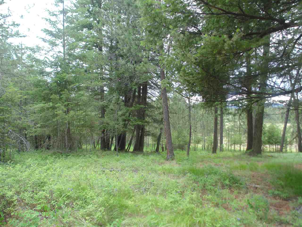 0 Darknell Road Elk, WA 99009 - Photo 4 of 19 Gallery Image 4