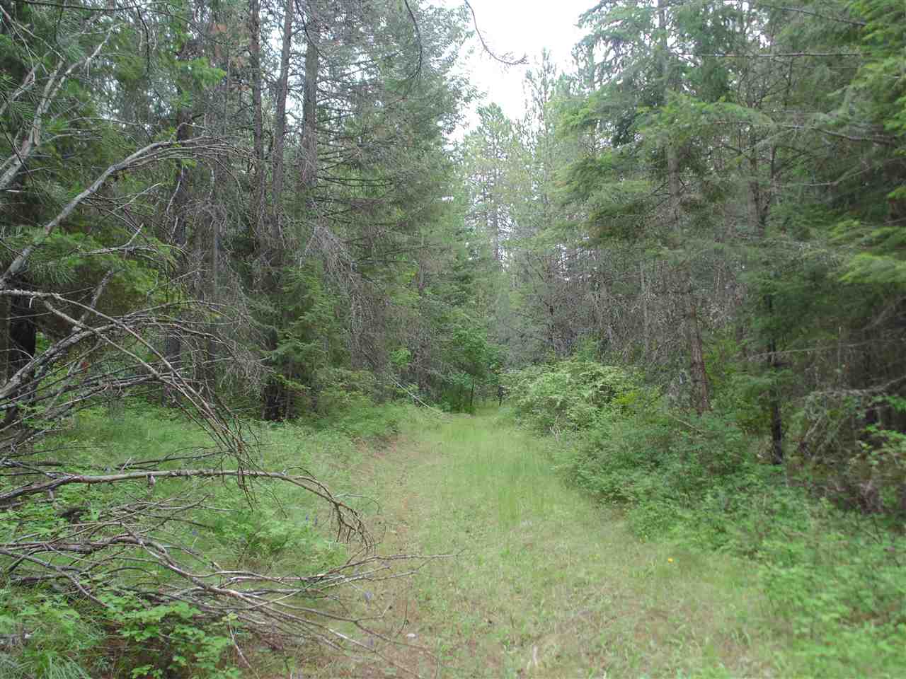 0 Darknell Road Elk, WA 99009 - Photo 5 of 19 Gallery Image 5