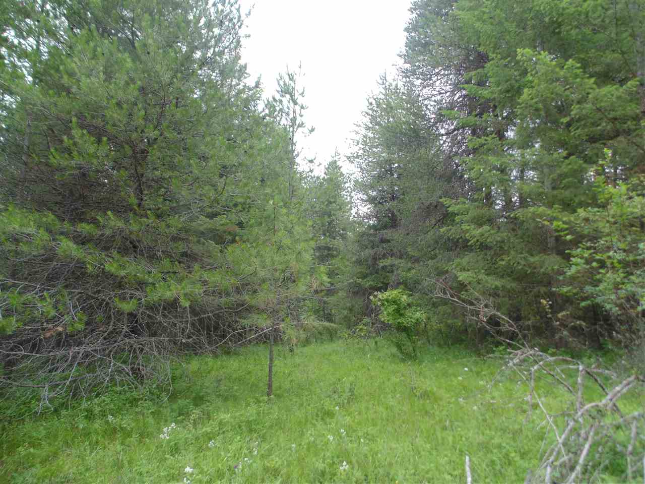 0 Darknell Road Elk, WA 99009 - Photo 7 of 19 Gallery Image 7