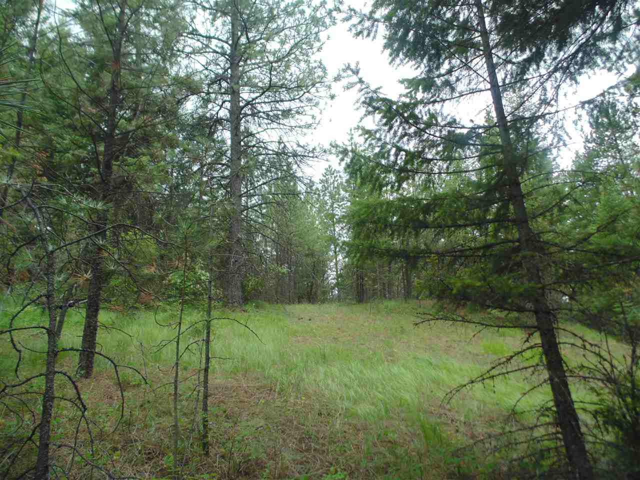 0 Darknell Road Elk, WA 99009 - Photo 8 of 19 Gallery Image 8