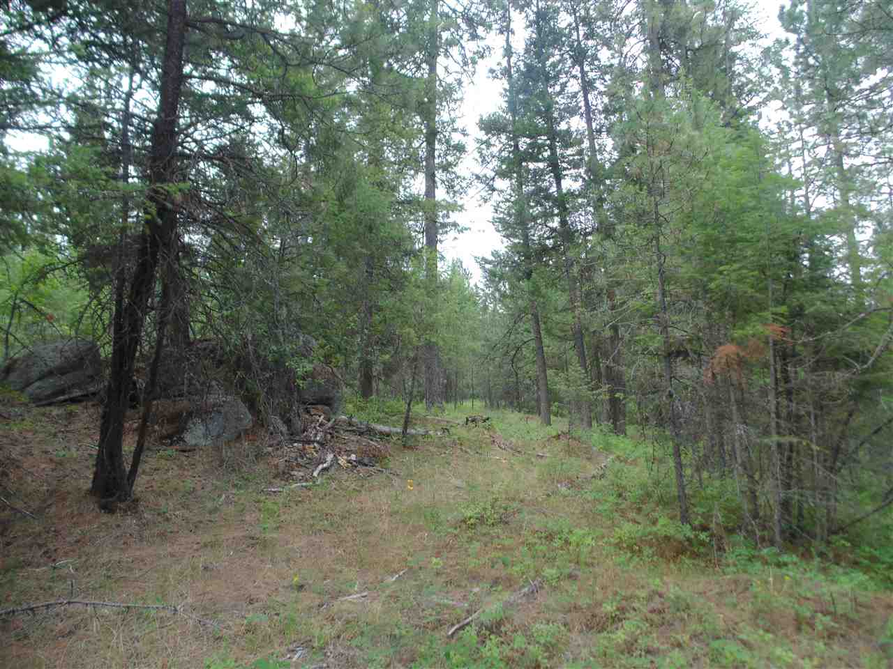 0 Darknell Road Elk, WA 99009 - Photo 10 of 19 Gallery Image 10