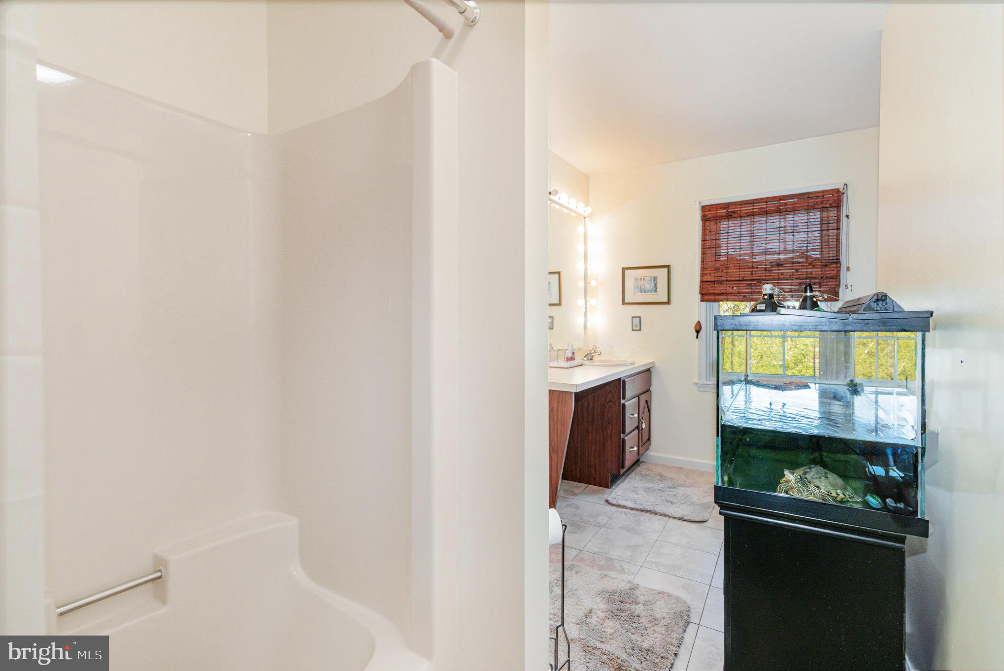 124 South Ridge Road Boiling Springs, PA 17007 - Photo 23 of 56 a bathroom with a sink and a mirror