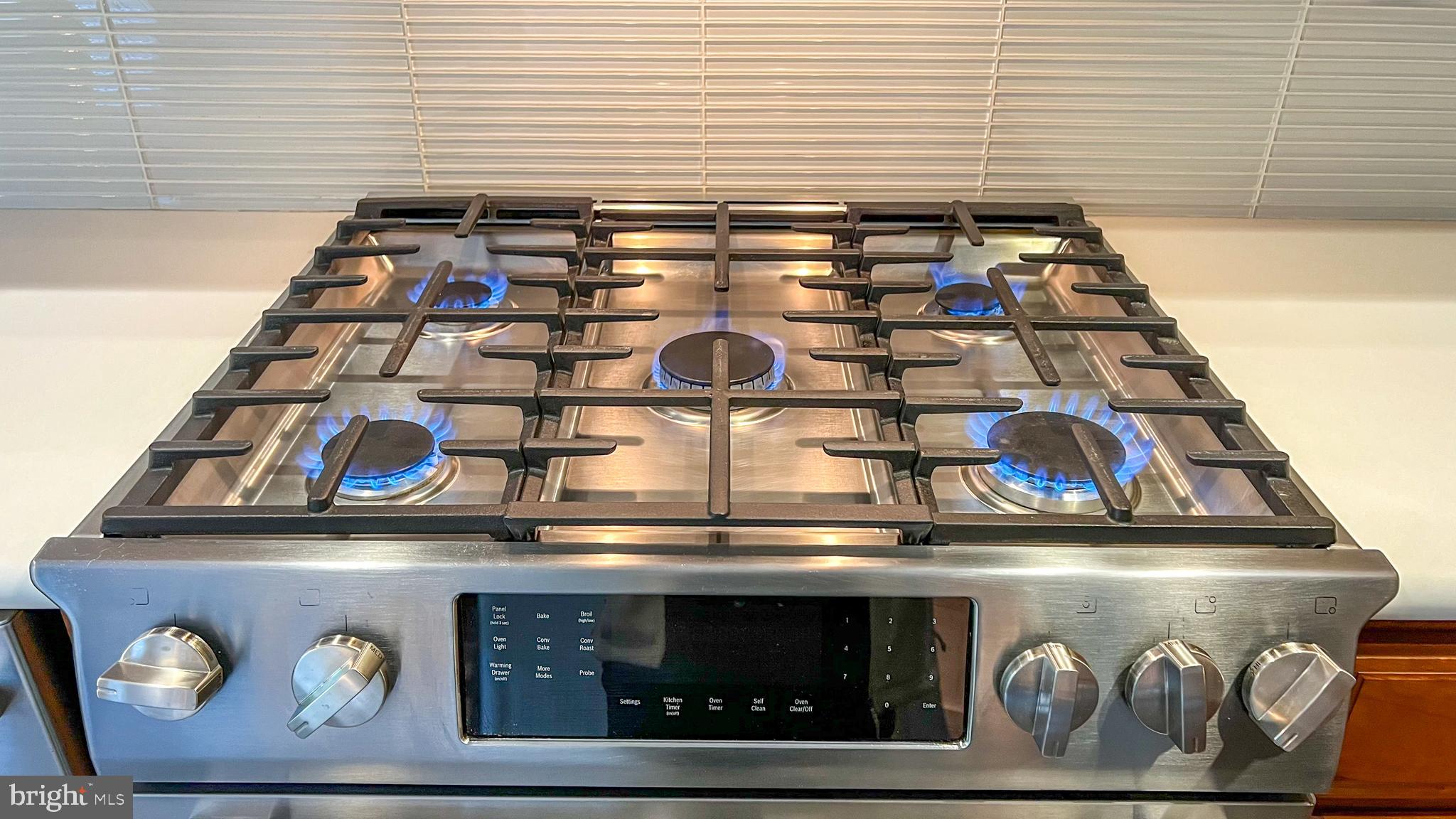 507 Ridge Road Annapolis, MD 21401 - Photo 23 of 75 5 Burner Bosch Gas Stove