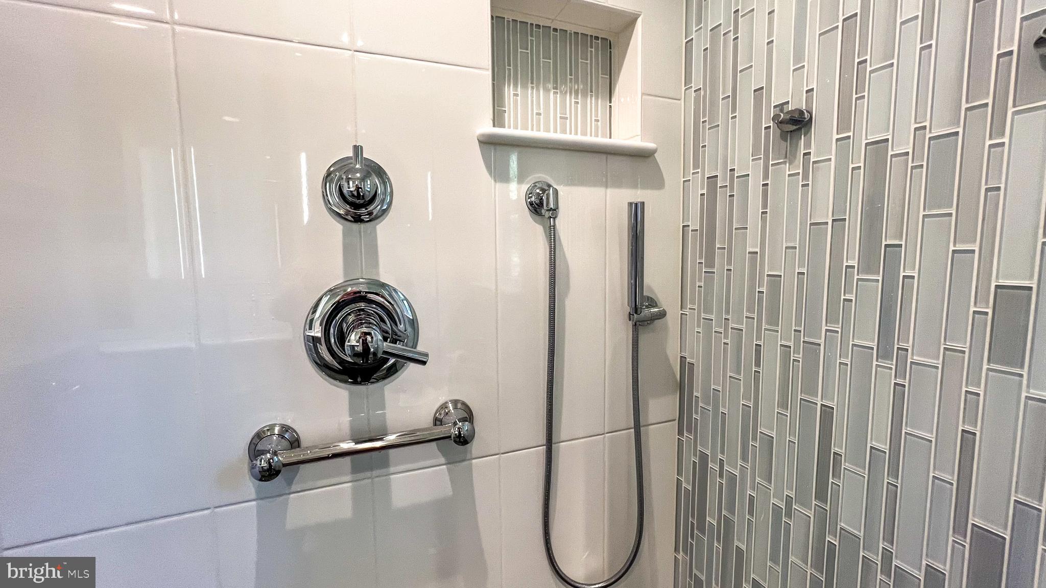 507 Ridge Road Annapolis, MD 21401 - Photo 37 of 75 Shower With Brizo Fixtures & Wand