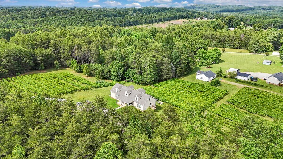 60 Tara Drive Ridgeway, VA 24148 - Photo 76 of 93 68-DJI_20250605162504_0038_D_1