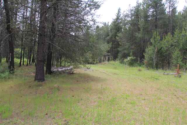 Xx Xx Stonebrook Way Springdale, WA 99173 - Photo 3 of 9