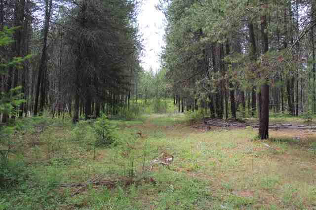 Xx Xx Stonebrook Way Springdale, WA 99173 - Photo 4 of 9