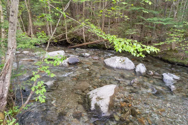 $525,000 | 122 Wallace Road, Northfield, VT 05663