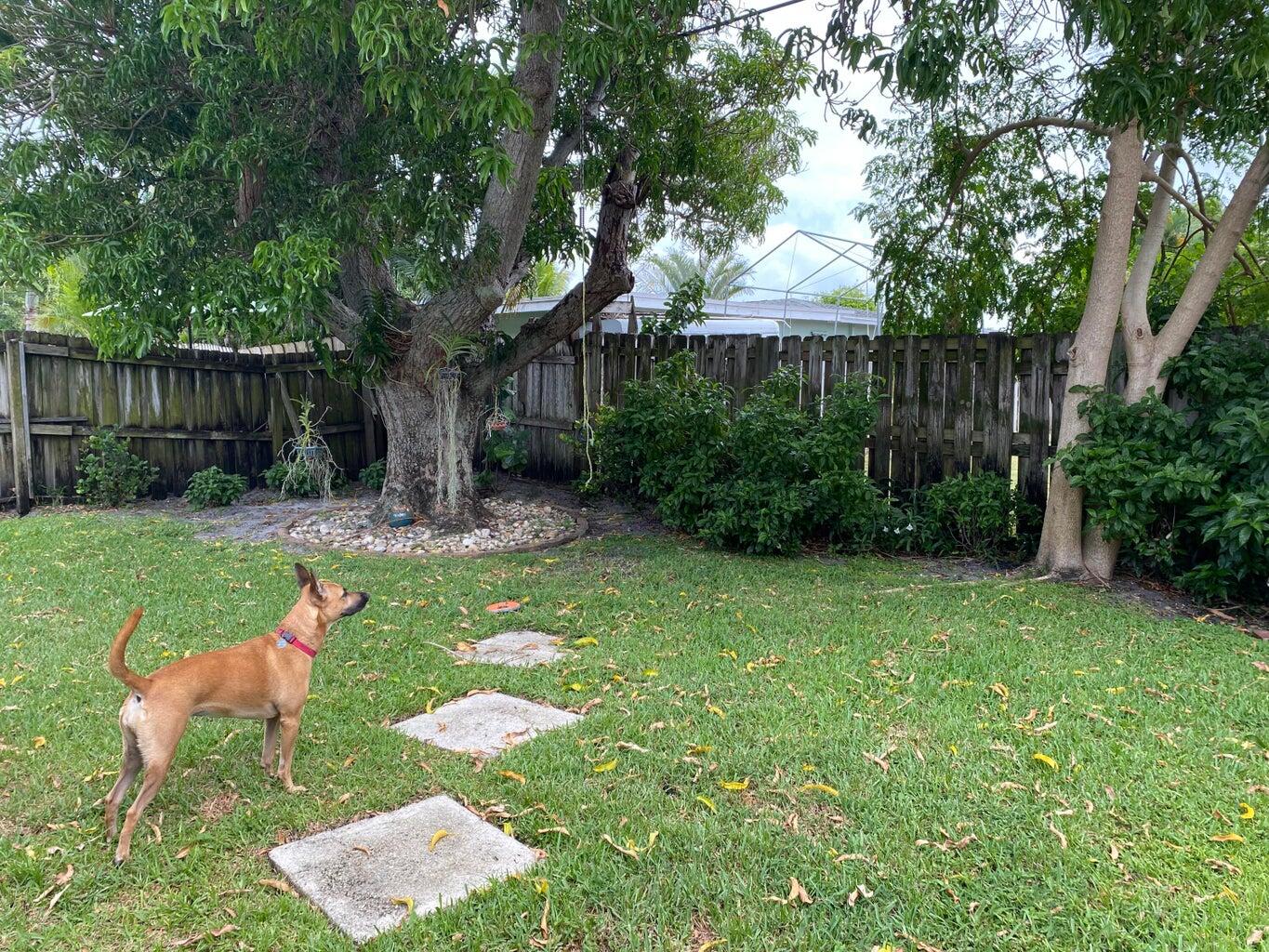 508 Flotilla Road North Palm Beach, FL 33408 - Photo 40 of 48 20220811142035098231000000-o