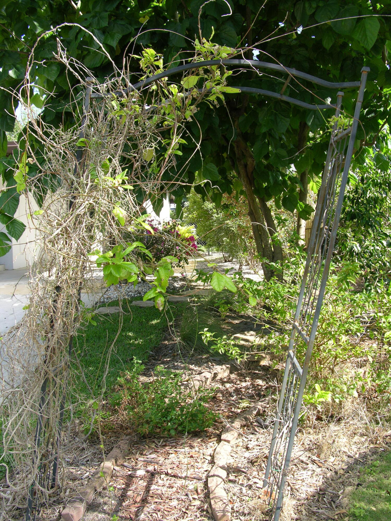 508 Flotilla Road North Palm Beach, FL 33408 - Photo 42 of 48 DSCN7368
