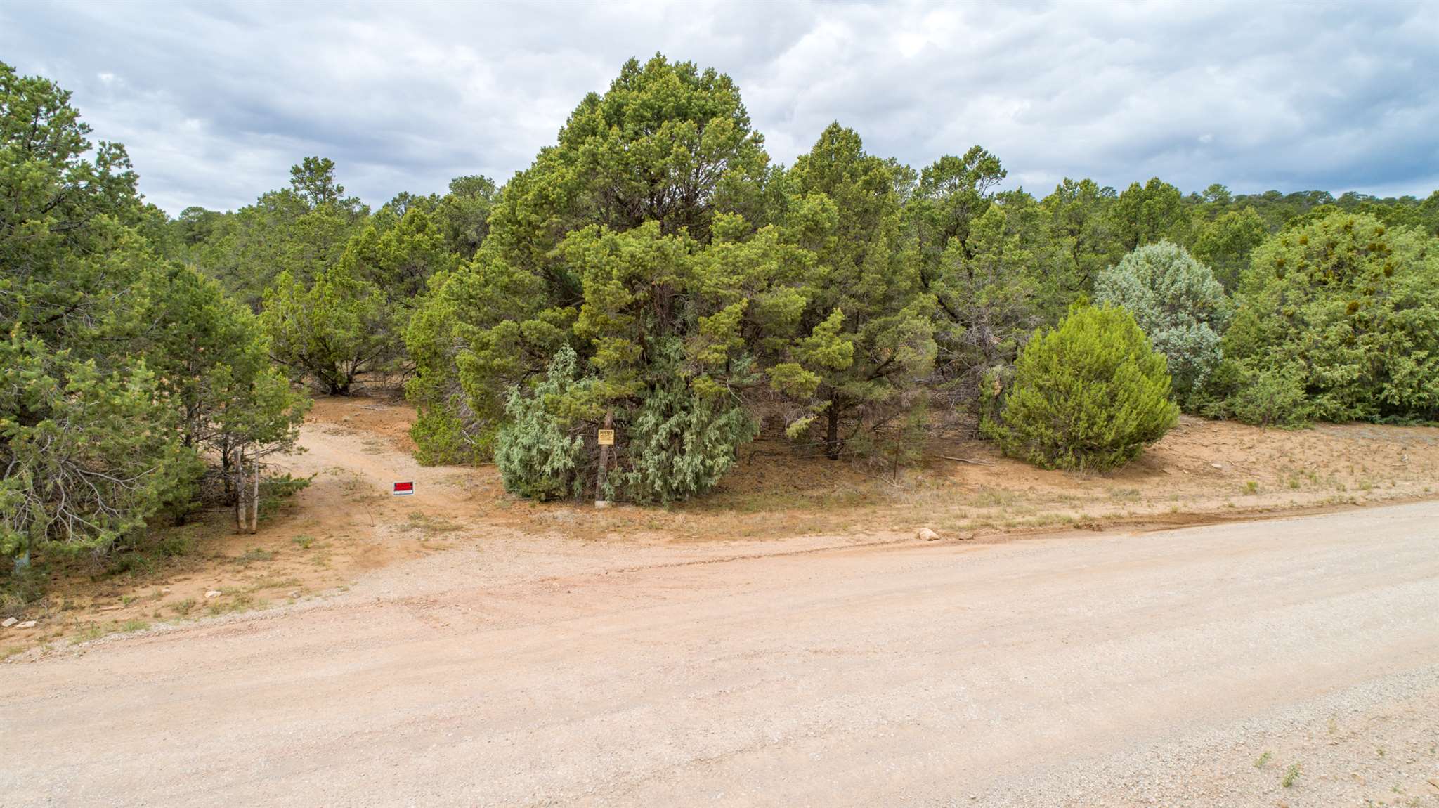 83 Pecos Barillas Road Pecos, NM 87552 - Photo 6 of 54 Gallery Image 6