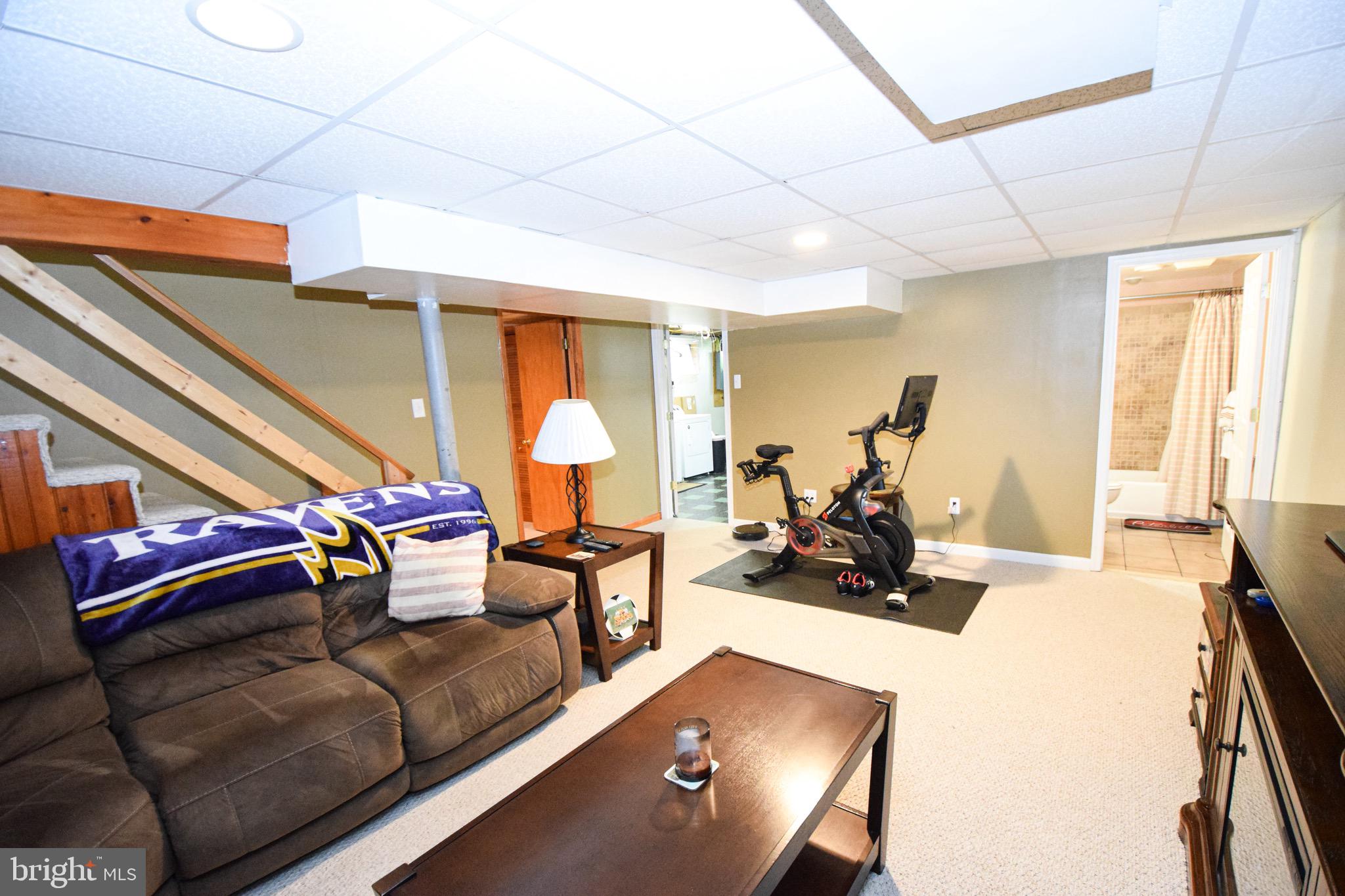 8816 Spring Road Parkville, MD 21234 - Photo 28 of 65 Basement