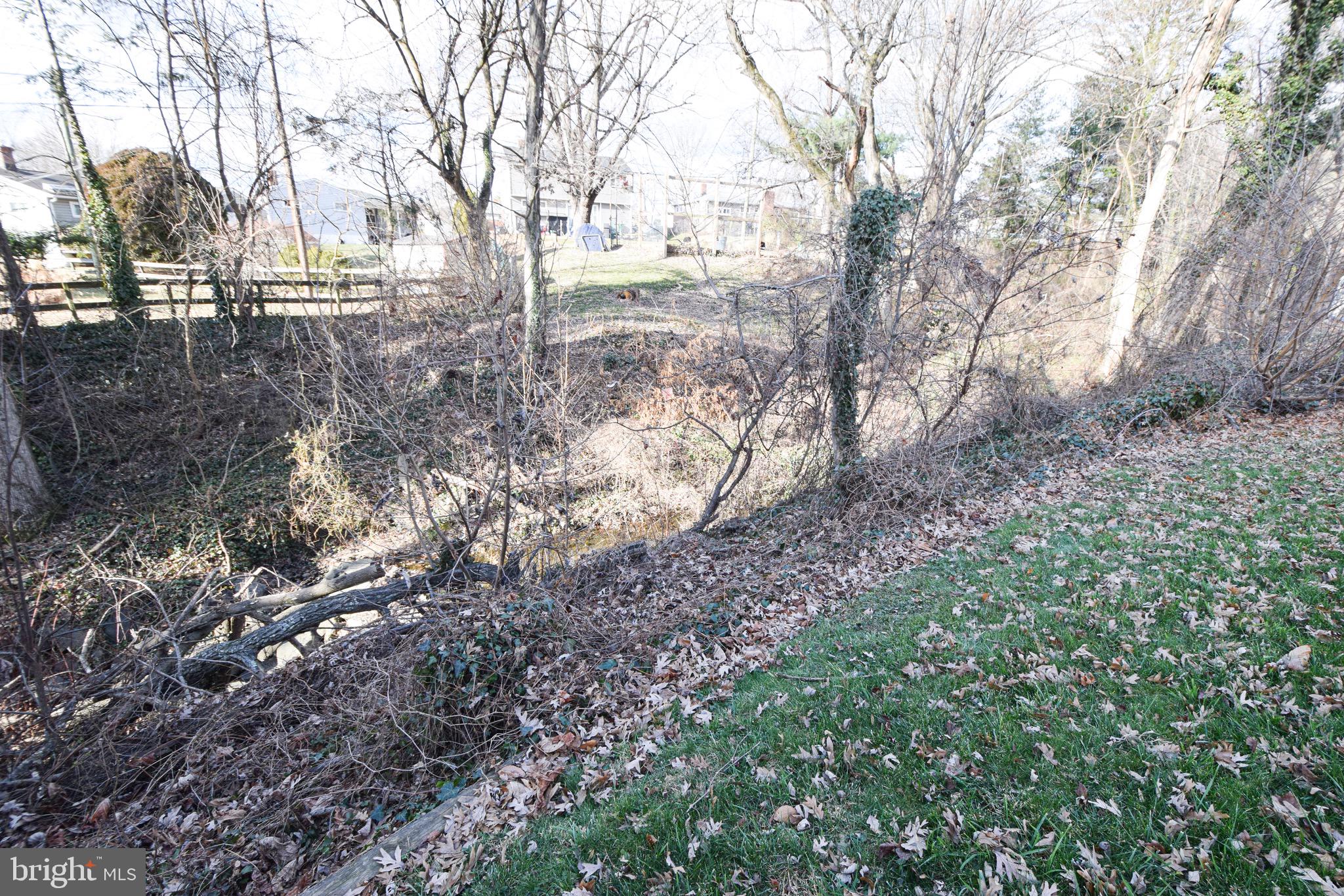8816 Spring Road Parkville, MD 21234 - Photo 64 of 65 Wooded Area Behind the House