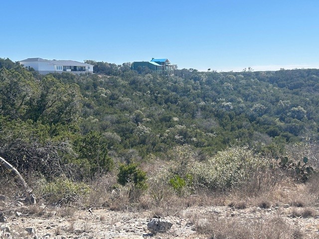 Lot 418 Private Road 1748 Road Mico, TX 78056 - Photo 9 of 16