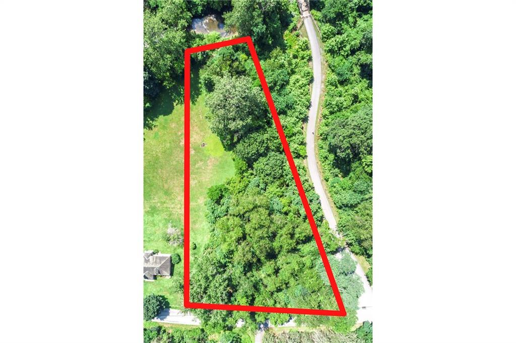 a close up of a plant in a garden