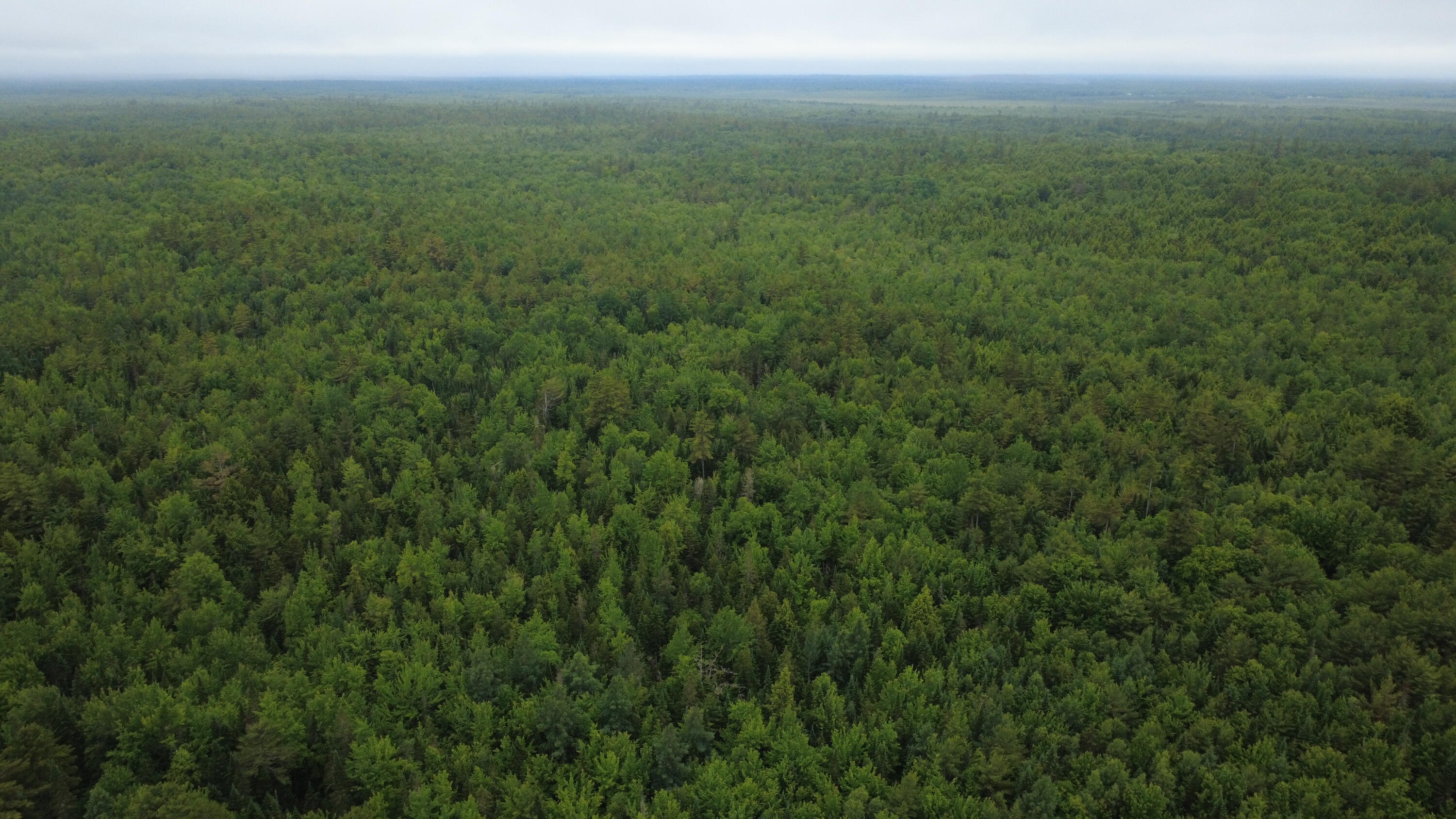 Lot 27.3 Southgate Road Old Town, ME 04468 - Photo 2 of 7 Aerial