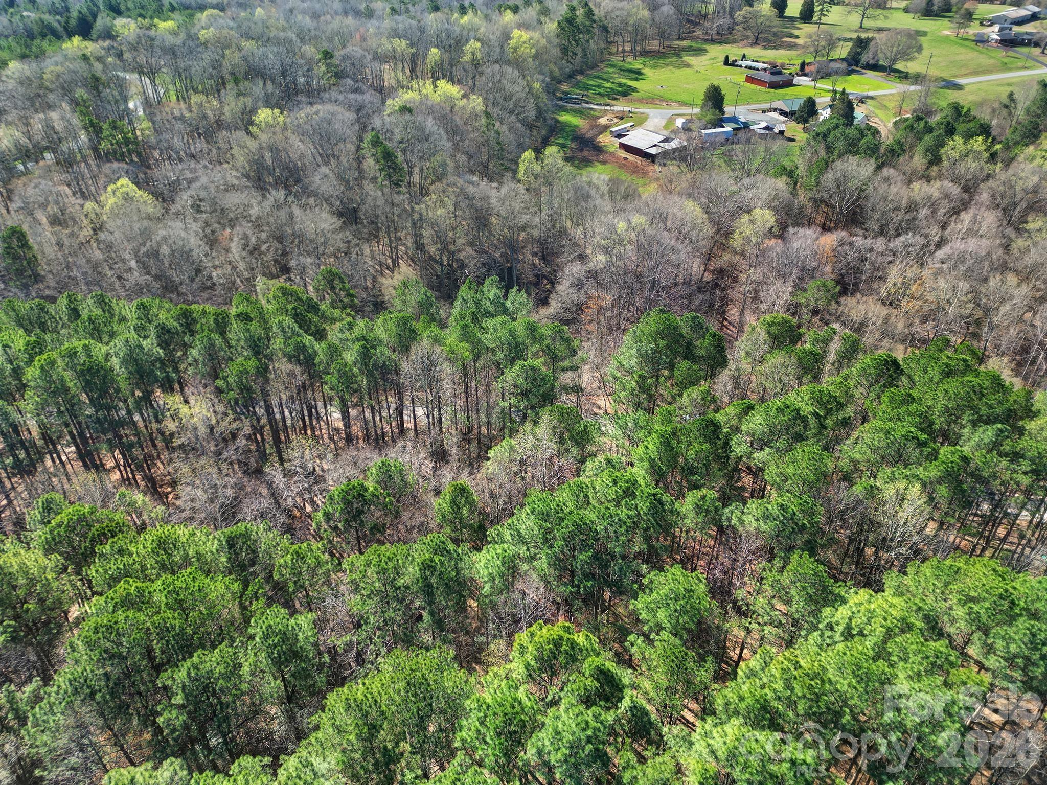 391 Hopewell Church Road Catawba, NC 28609 - Photo 9 of 12