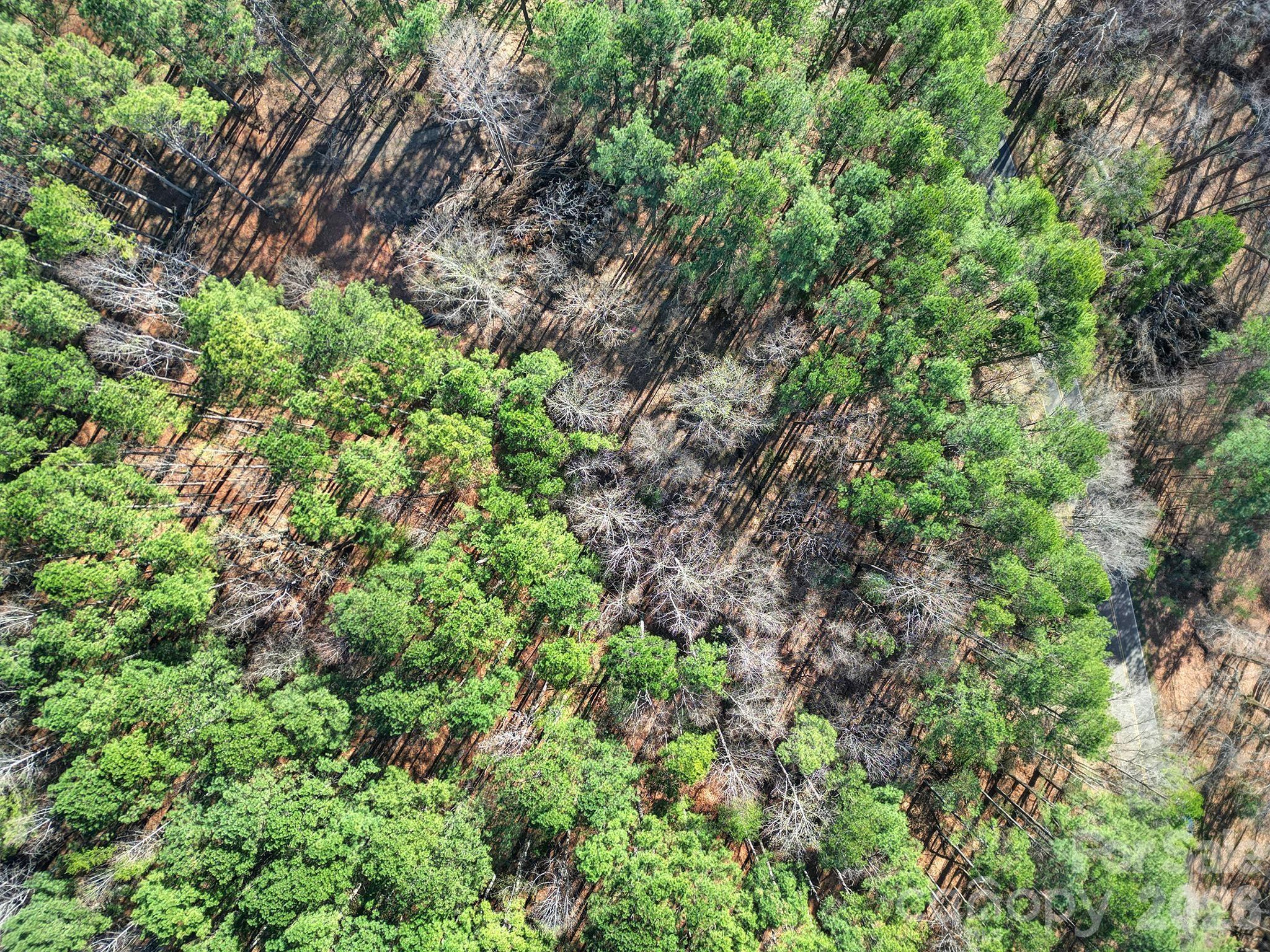 391 Hopewell Church Road Catawba, NC 28609 - Photo 10 of 12