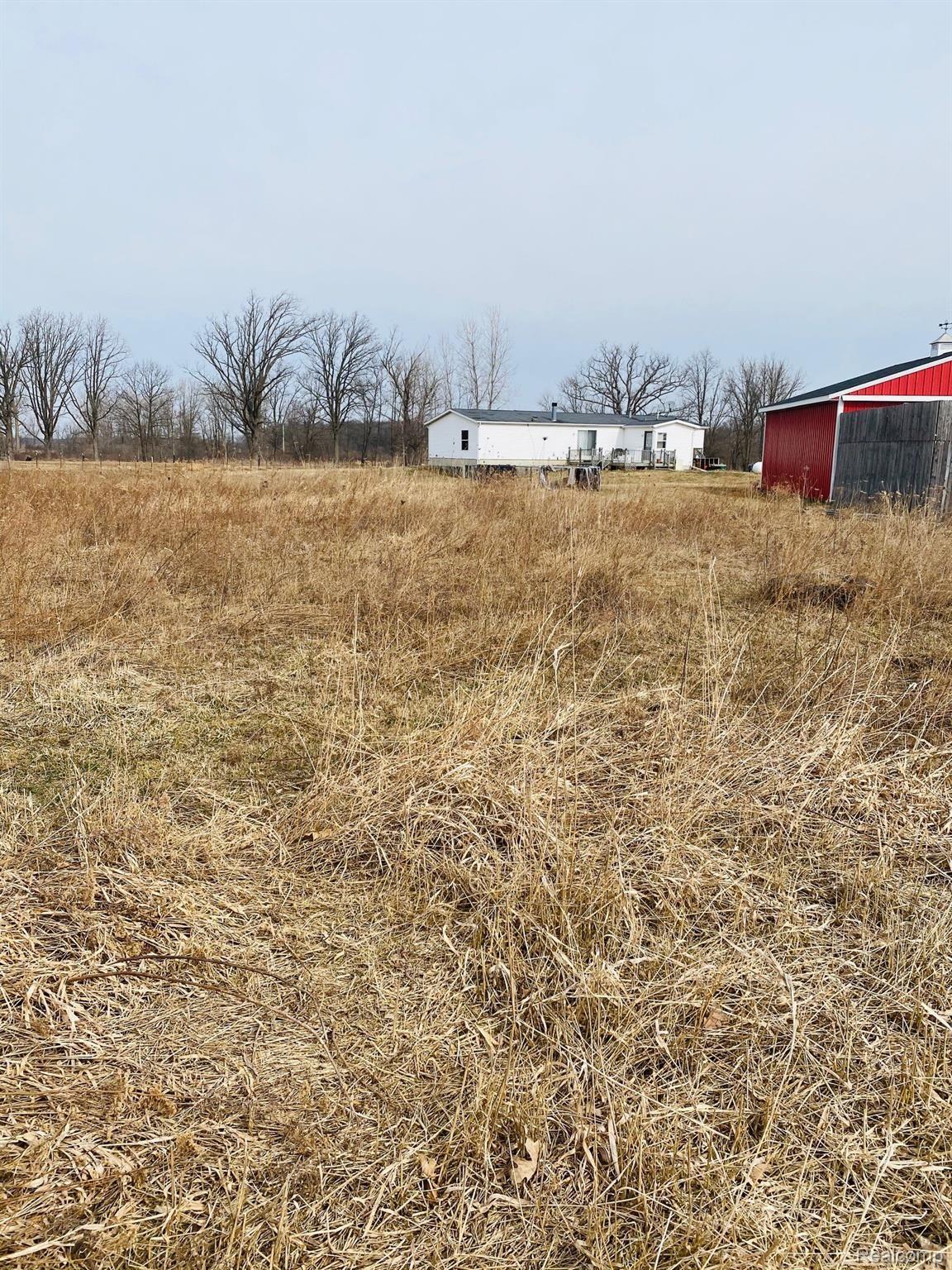 4598 Bath Road Morrice, MI 48857 - Photo 16 of 17 Back of home.jpg
