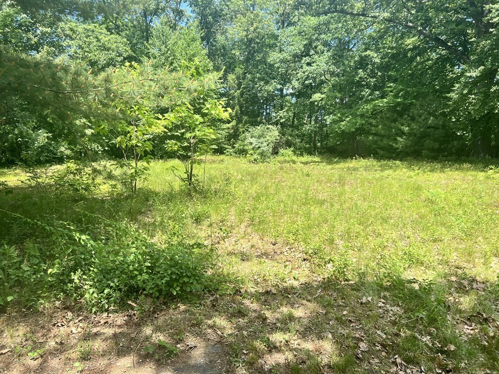 836 Wilbraham Road Springfield, MA 01109 - Photo 5 of 6