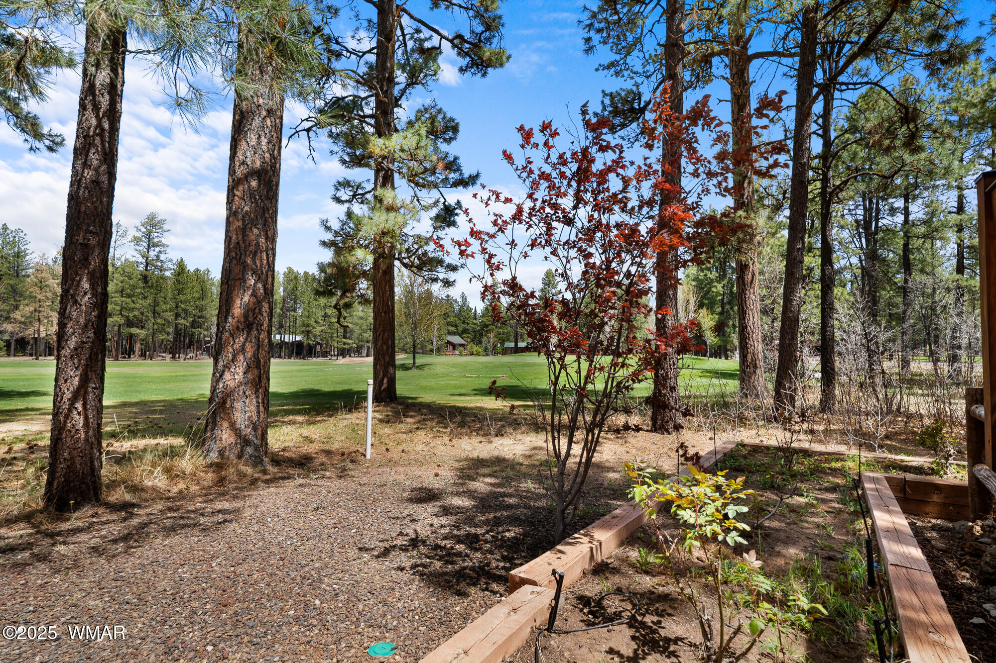 7572 White Oak Road Pinetop, AZ 85935 - Photo 78 of 96 twinflamerealestatemedia-38_(2000)