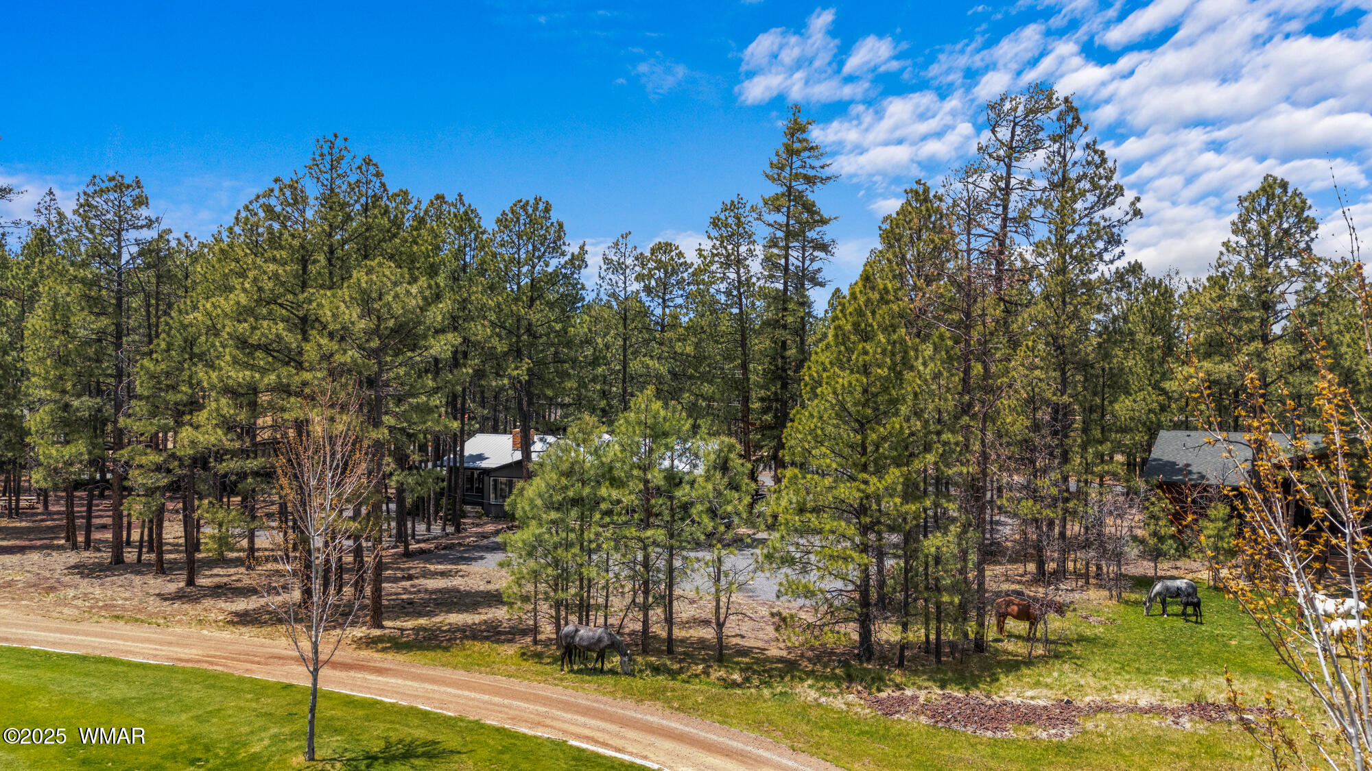 7572 White Oak Road Pinetop, AZ 85935 - Photo 79 of 96 twinflamerealestatemedia-89_(2000)