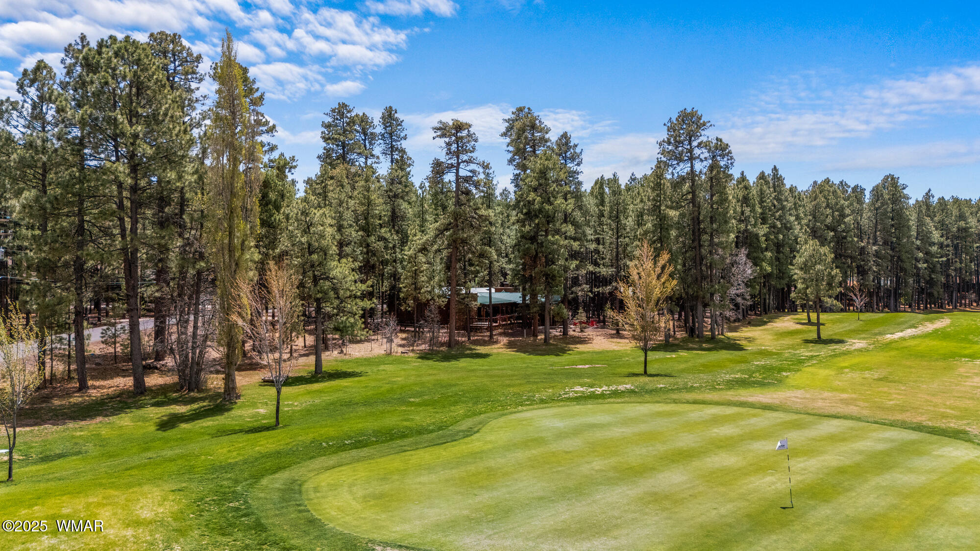 7572 White Oak Road Pinetop, AZ 85935 - Photo 80 of 96 twinflamerealestatemedia-90_(2000)
