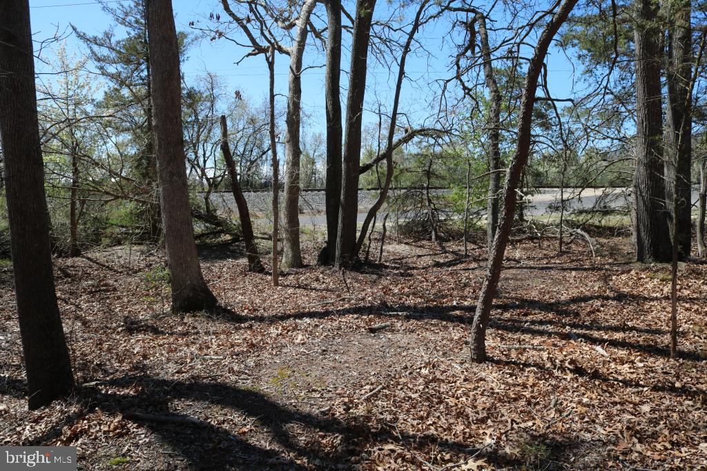 351 Shaws Mill Road Cedarville, NJ 08311 - Photo 24 of 84